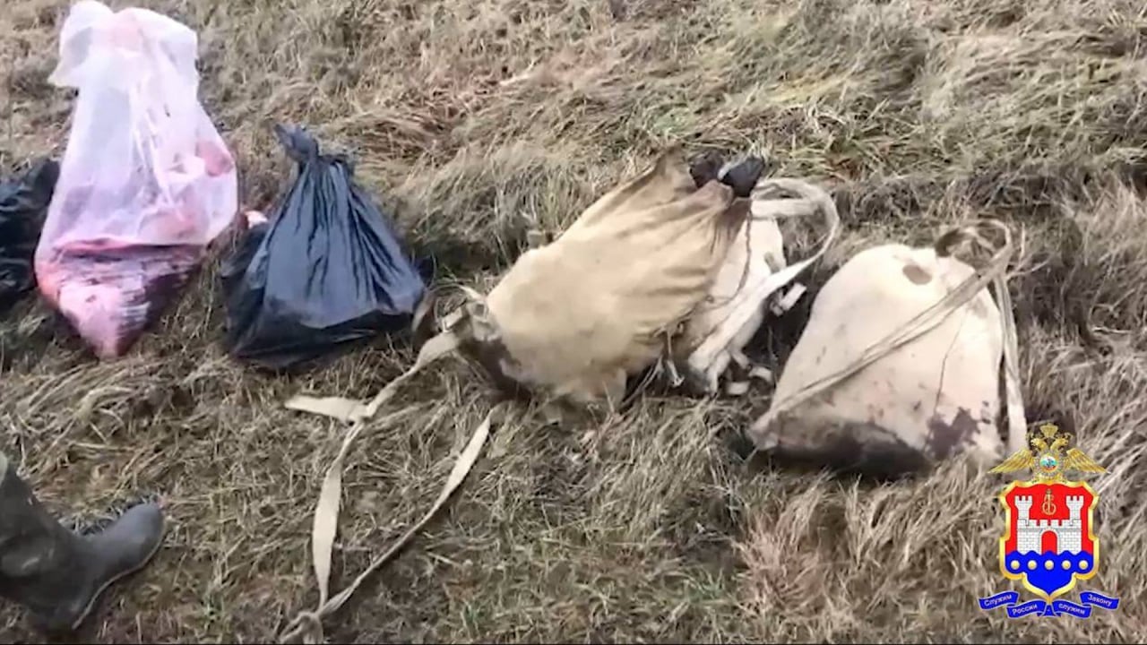 За незаконную охоту на лосей двое мужчин стали фигурантами уголовного дела.  Вблизи пос. Кленовое сотрудниками полиции с поличным были пойманы двое жителей Правдинского района – 48-летний мужчина и его 31-летний племянник. Неподалеку в болоте правоохранители обнаружили тушу лосихи с ранениями головы и лопатки. У бывших охотников изъято ружье, автомобиль «УАЗ» и мешки с разделанной тушей лосенка.   Сумма ущерба, причиненного государству, составила 640 т.р.    ‍ Возбуждено дело по ст. «Незаконная охота, совершенная группой лиц по предварительному сговору».   Фото: УМВД региона