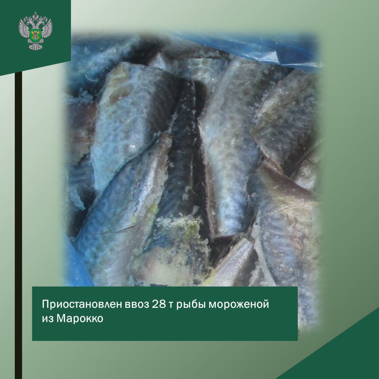 Приостановлен ввоз 28 т мороженой рыбы из Марокко 18 августа Россельхознадзор в порту Балтийск провел контроль 28 тонн мороженой скумбрии из Марокко Выявлено расхождение номеров предоставленного ветеринарного сертификата и сертификата указанного в предварительном уведомлении Отобрана проба и направлена в Калининградский филиал ФГБУ ВНИИЗЖ для исследований на показатели безопасности После предоставления корректного уведомления груз был выпущен в свободное обращение Источник Управление Россельхознадзора по Калининградской области