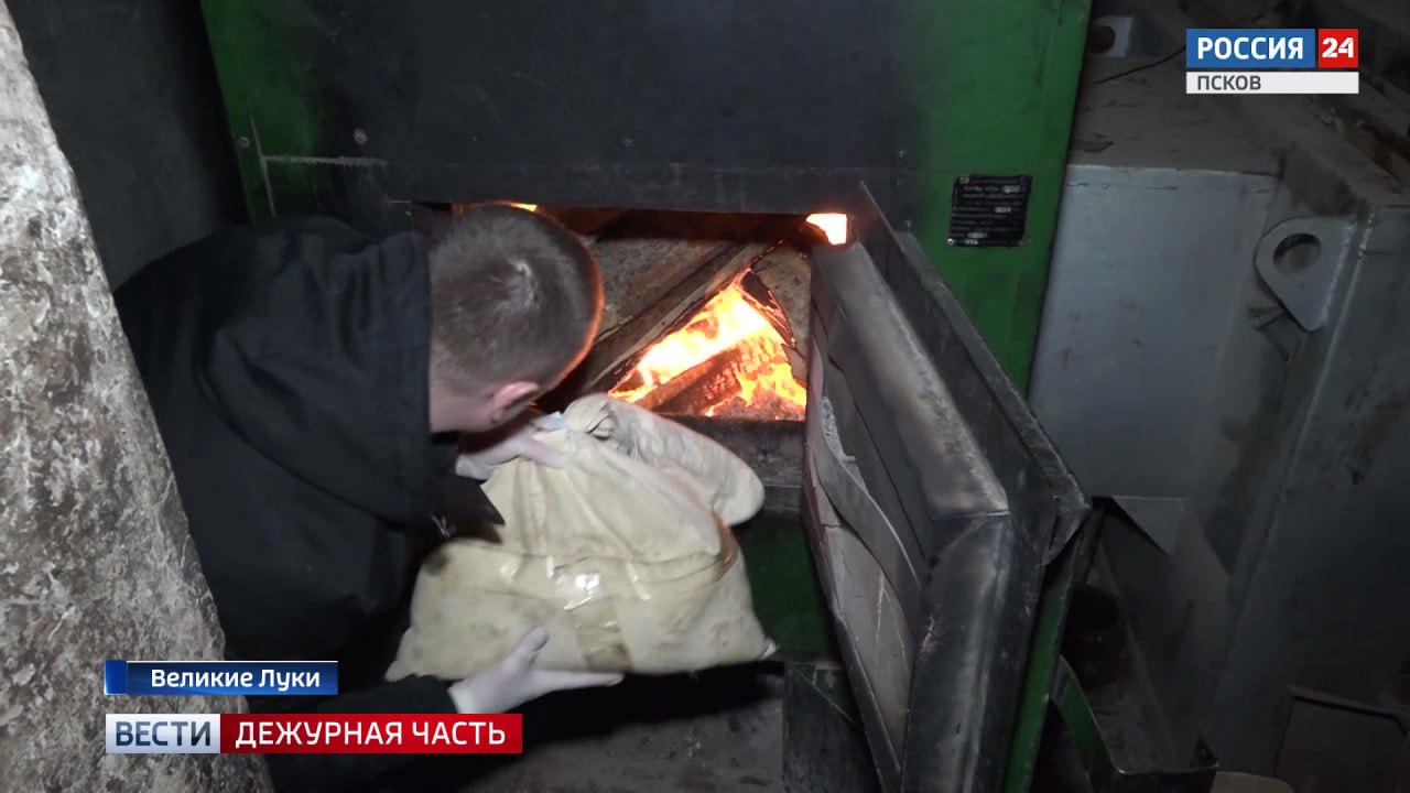 Сотрудники регионального Управления ФСБ пресекли деятельность подпольной нарколаборатории Установлено что в ноябре трое фигурантов с целью производства мефедрона забрали из тайника в Псковской области химические вещества необходимые для работы и перевезли их на территорию домовладения принадлежащего одному из задержанных Здесь незаконно произвели наркотическое средство в особо крупном размере Подозреваемые заключены под стражу возбуждено уголовное дело Им грозит до 20 лет лишения свободы Около 50 килограммов наркотических средств по решению суда сожгли в Великих Луках Марихуана амфетамин героин являлись вещественными доказательствами по уголовным делам Партию запрещенных веществ сотрудники УФСБ России по Псковской области изъяли у уроженца Новгородской области курьера закладчика