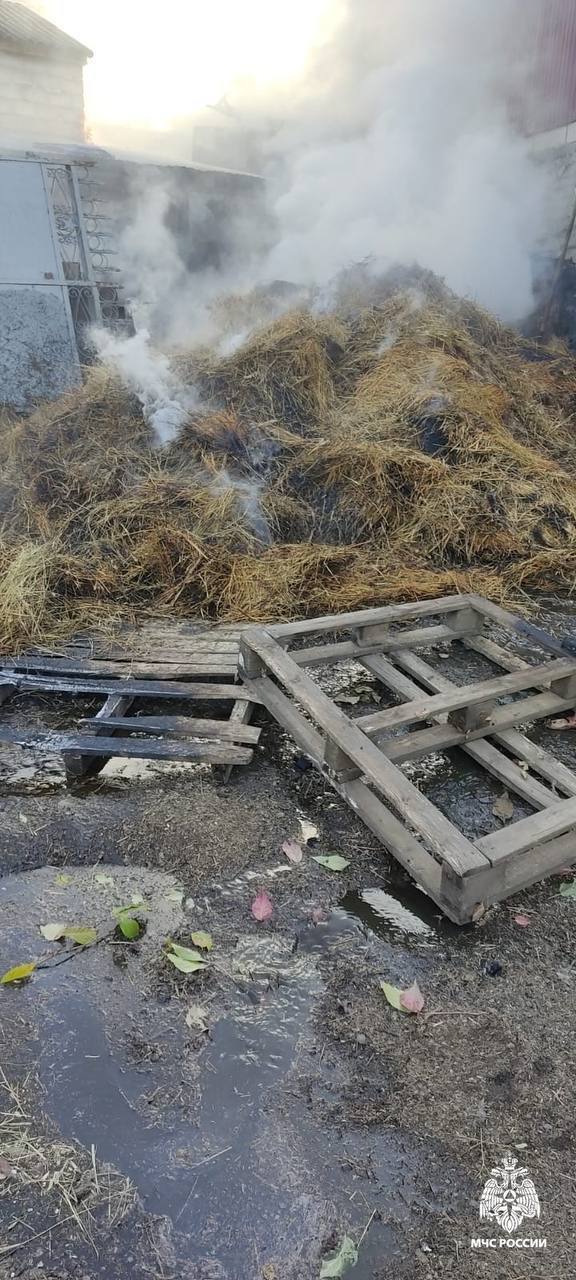 В Ингушетии за сутки произошло 2 пожара:    В административном округе Гамурзиево, г.Назрань, ул. Озиева, 17 произошло возгорание.   По прибытии на место пожарных расчетов было установлено, что произошло возгорание кормовых отходов. Площадь возгорания составила 20 квадратных метров.   В результате пожара жертв и пострадавших нет, причина уточняется.   Пожар в с.п. Новый-Редант  В с.п. Новый-Редант по ул. Нурадилова №30 произошел пожар.  По прибытии на место происшествия пожарно-спасательных подразделений было установлено, что произошло возгорание сена на сеновале. Общая площадь пожара составила 50 квадратных метров.   В результате пожара жертв и пострадавших нет. Причина пожара и обстоятельства происшедшего устанавливаются.