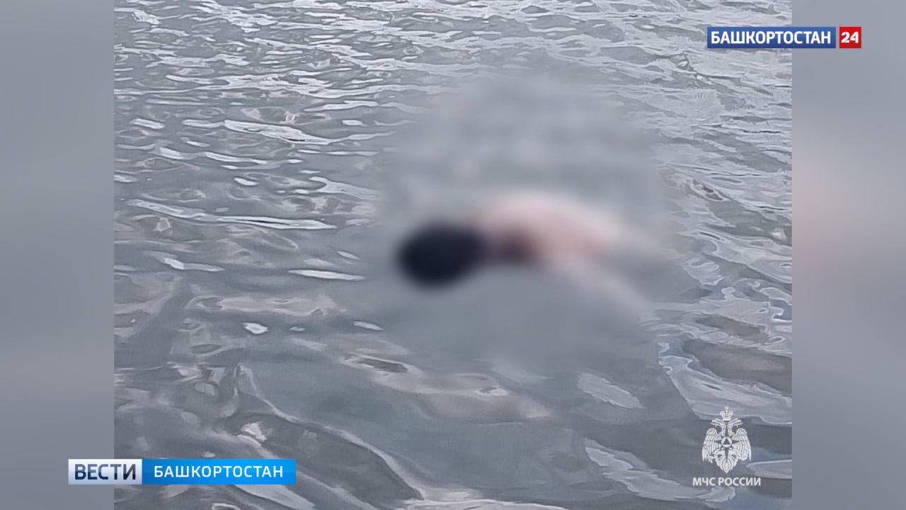 В Башкортостане нашли тело утонувшего в озере мужчины В Мелеузовском районе спасатели извлекли из озера Шагайка тело 40-летнего мужчины. Как рассказали в пресс-службе МЧС России по РБ, 9 дней назад местный житель утонул во время купания в необорудованном месте. «Обстоятельства случившегося устанавливаются, проводятся оперативно-следственные мероприятия», - прокомментировали в ведомстве. Подписаться Сообщить новости