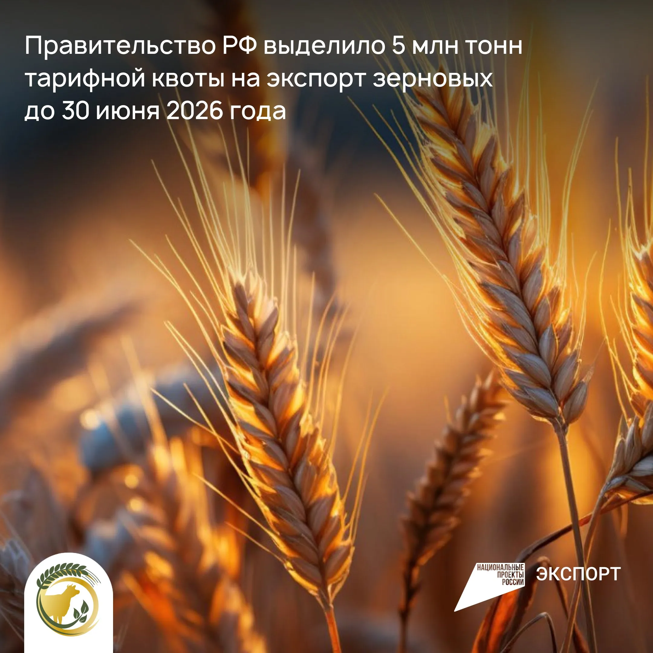 Правительство РФ утвердило дополнительную тарифную квоту на экспорт пшеницы меслина ячменя и кукурузы в размере 5 млн тонн Она будет действовать до 30 июня 2026 года Речь идет о вывозе зерновых культур за пределы ЕАЭС Такое решение поможет поддержать фермеров они смогут дополнительно поставлять свою продукцию за рубеж Объем тарифной квоты будет распределять Минсельхоз в заявительном порядке При этом решение не повредит внутреннему рынку продукции для него достаточно а объем валового сбора зерновых скорректирован Росстатом в сторону увеличения Напомним отгрузки зерна осуществляются в рамках национального проекта Международная кооперация и экспорт Ульяновскаяобласть мсх73