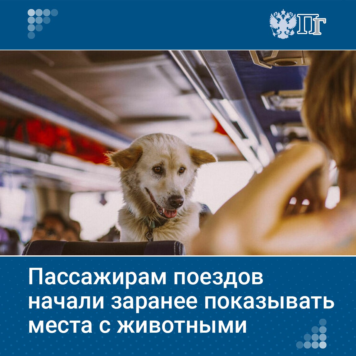 РЖД начали заранее показывать места для перевозки животных в поездах. Это позволяет пассажирам выбирать места рядом с питомцами или подальше от них при покупке билетов онлайн.  Такие места отмечены темно-серым цветом на схеме вагона, а при наведении на них можно увидеть вид животного и маршрут его следования. Скоро эта функция появится и в мобильном приложении.  Также можно оформить перевозку питомца в день поездки, вследствие чего информация на схеме может меняться вплоть до отправления состава.    Подписаться на «Парламентскую газету»