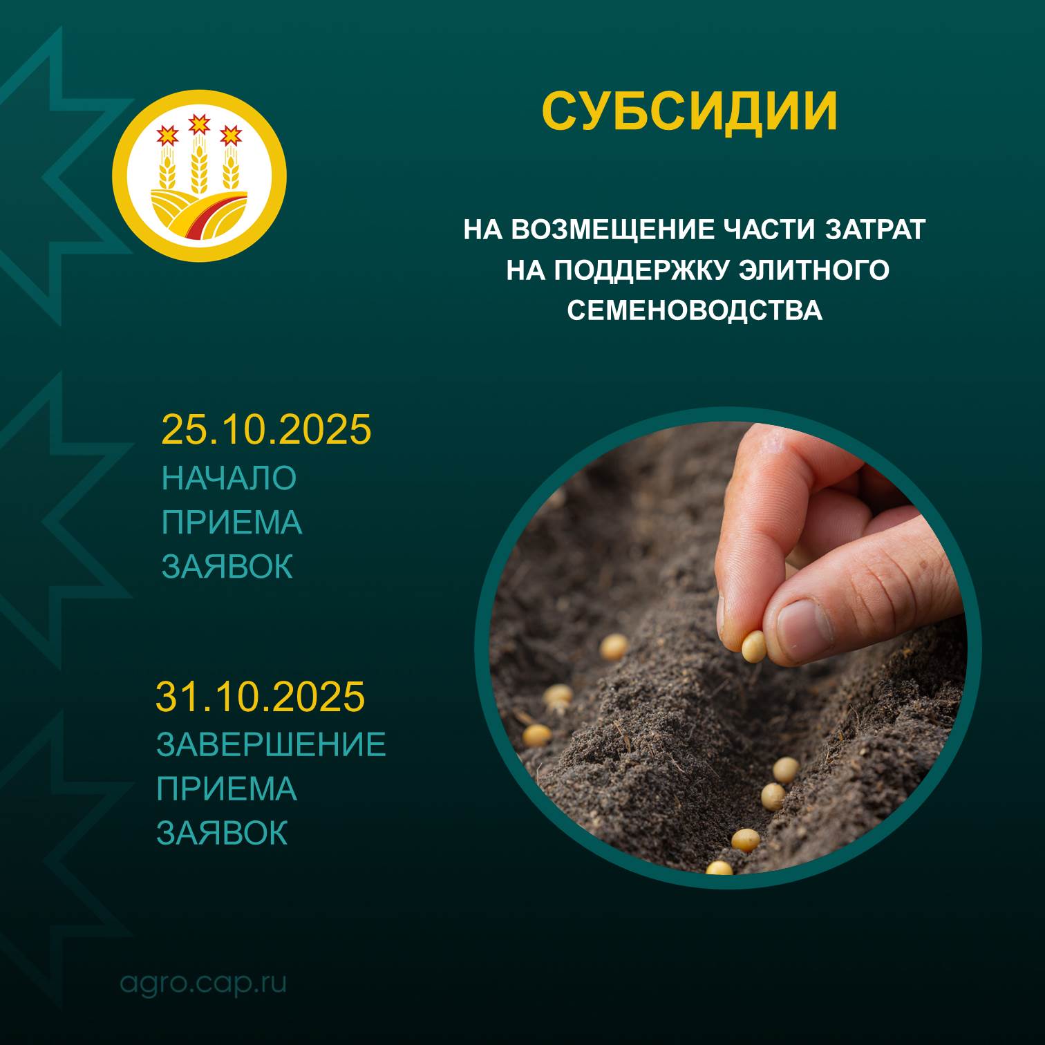 Стартуют два отбора получателей субсидий Министерство сельского хозяйства Чувашии приглашает ИП и юрлиц принять участие в отборах на получение субсидий Элитное семеноводство 3 3 млн руб Закладка земляники садовой 6 4 млн руб Подать заявку можно с 25 по 31 октября Узнать подробности можно на нашем сайте МинсельхозЧувашии