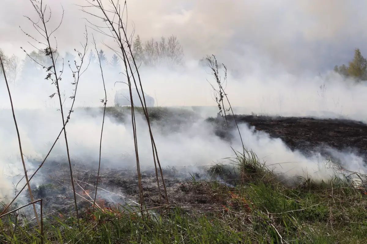 В Новгородской области отменен особый противопожарный режим на землях лесного фонда  С 14 сентября, в связи с потеплением, в Новгородской области был установлен особый противопожарный режим на землях лесного фонда. На время действия режима был установлен запрет на разведение костров, сжигание мусора, сухой растительности, использование открытого огня на землях лесного фонда.  С 3 октября противопожарный режим отменён соответствующим распоряжением правительства области.  В Главном управлении МЧС России по Новгородской области напомнили, что опасность пожаров сохраняется, поэтому необходимо соблюдать правила пожарной безопасности.  С начала пожароопасного сезона произошел 21 лесной пожар на площади 8,3 га.