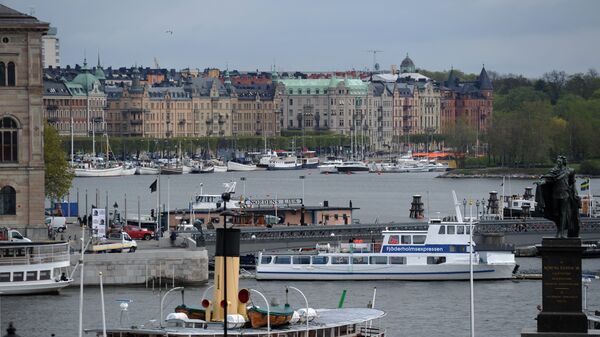 Все оттенки коричневого Фашизм пустил корни в Европе шведские неонацисты маршируют в центре Стокгольма Впервые за 15 лет в Швеции произошел неонацистский марш По информации местного портала Sweden Herald организаторами факельного шествия состоявшегося в Стокгольме 6 декабря выступили ультраправые организации