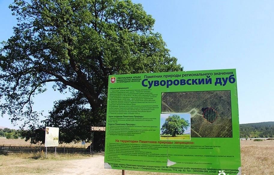 Крымский Суворовский дуб вошел в тройку победителей конкурса "Российское дерево года". "Номинантами стали 70 уникальных исторических природных раритета, занесенных в Национальный реестр старовозрастных деревьев России и по праву носящие статус "Памятник живой природы", — рассказала министр экологии Крыма Ольга Шевцова. Первое место досталось Бабушке иве из Ростовской области, второе — Шумерлинскому дубу из Чувашской Республики.