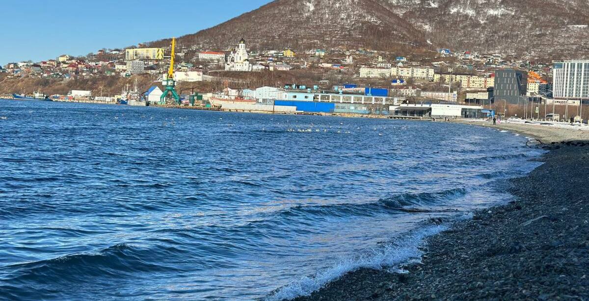 На Камчатке специалисты стабилизируют экосистему Авачинской бухты Правительство Камчатского края вместе с учеными занимается стабилизацией экосистемы Авачинской бухты Работа ведется в рамках утвержденного мастер плана Петропавловска Камчатского Нажмите для подробностей kam24 ru news main 20251114 122641 html utm source telegram utm medium messenger