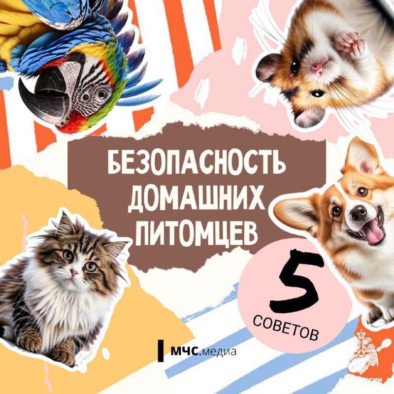 В МЧС России по Белгородской области опубликовали свод правил жизни с домашними питомцами:          От братьев наших меньших лучше убирать подальше провода, электроприборы и тяжёлые прелметы, а также не подпускать их к открытому огню и печам.       Подробнее на иллюстрациях.