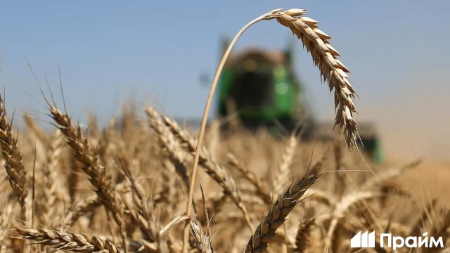 Бразилия впервые с 2024 года закупила российскую пшеницу Так в январе местные импортеры ввезли отечественную продукцию на 10 9 миллиона долларов В предыдущий раз Бразилия приобрела российское зерно в декабре 2024 го но сумма тогда была в десять раз меньше 1 1 миллиона долларов Подписывайтесь на ПРАЙМ в MAX