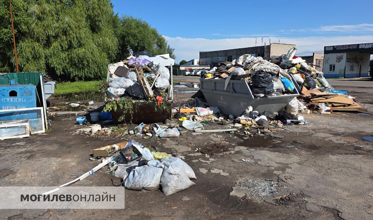 Житель #Могилёв показал состояние контейнеров для крупногабаритного мусора на улице Ямницкой  Могилевчанин обратил внимание на проблемный участок возле «ПМК Водстрой». Состояние места оставляет желать лучшего — до гармонии тут явно далеко.  — Обычные контейнеры худо-бедно вывозятся, но рядом стоят три контейнера для крупногабаритного мусора, и там настоящая свалка, — пишет автор изображений. — Емкость для раздельного сбора пластика вывозится, наверное, раз в полгода. Месяцами стоит полная.    YouTube  поддержать канал на