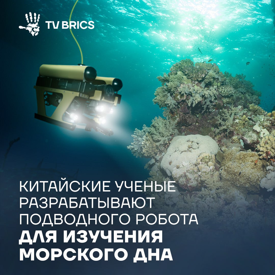Ученые из Харбинского университета создали подводного робота Черепаха диаметром 70 см для изучения морского дна и коралловых рифов В отличие от классических аппаратов он способен работать на расстоянии менее метра от рифа фиксируя мельчайшие детали и мгновенно менять положение Эксперты отмечают что помимо наблюдения за кораллами Черепаха может найти применение в рыболовстве и поисково спасательных операциях Подписывайтесь на TV BRICS