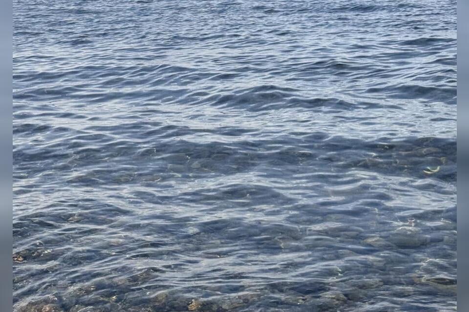 Купание небезопасно: в водоёмах Забайкалья — нарушения по качеству воды  С 10 по 17 июля Роспотребнадзор выявил нарушения гигиенических нормативов в нескольких популярных водоёмах региона. В частности, по микробиологическим показателям не соответствуют пробы воды:    оз. Кенон  городской пляж, Чита    карьеры в п. Кадала   оз. Тасей и оз. Иван   р. Никишиха и р. Ингода   оз. Арахлей  включая с. Преображенка и район «Пески»    р. Онон  Оловяннинский округ   Также по санитарно-химическим показателям зафиксированы нарушения на р. Нерча  п. Заречный .  ZAB.RU