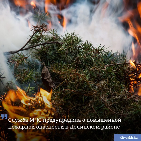 В связи с сухой и жаркой погодой увеличивается вероятность возникновения лесных пожаров четвертой степени опасности. Жителям рекомендуется соблюдать осторожность, избегать разжигания костров, следить за местными новостями и рекомендациями относительно мер безопасности.