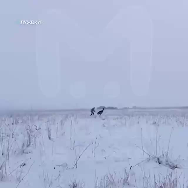 В Ленобласти жители поймали сбежавшего страуса