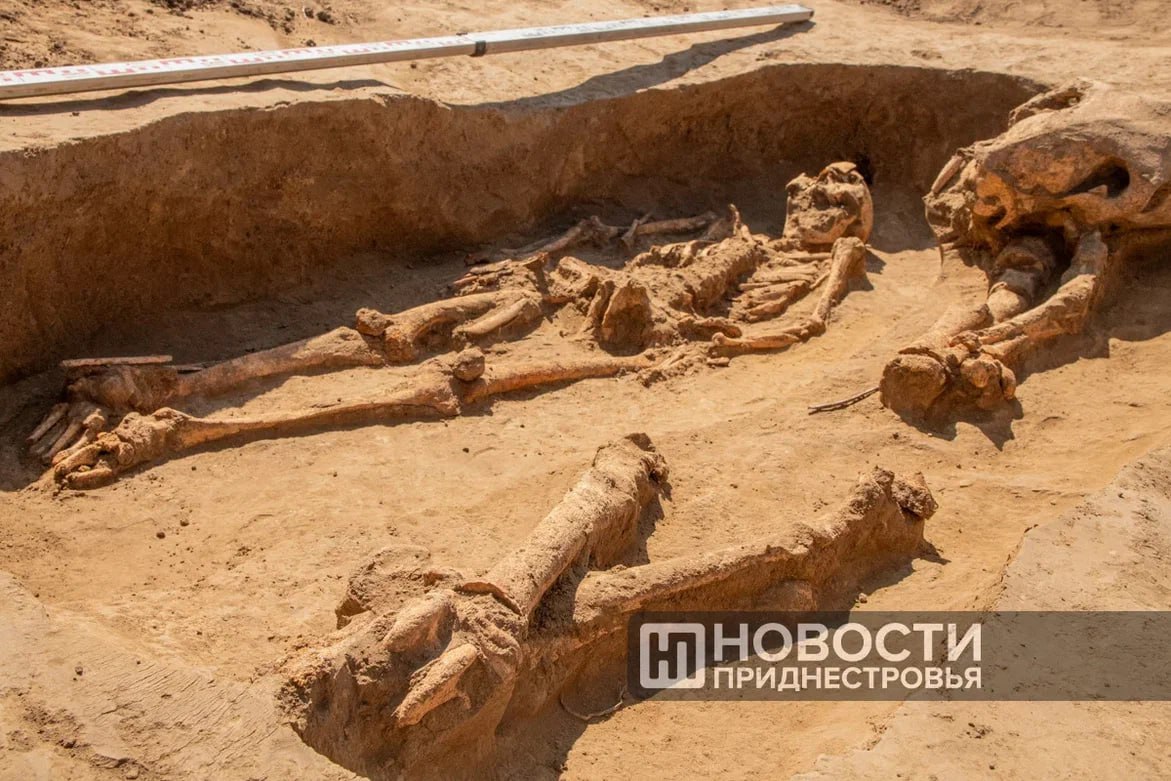 31 курган в разных районах Приднестровья добавили в Единый госреестр культурного наследия.  Эти древние могильники нашли археологи Приднестровского госуниверситета, проводившие специальные проверки земель.  Также под охраной государства теперь — памятник 20 работникам Молдавской овощекартофельной опытной станции в Тирасполе, погибшим в Великой Отечественной войне. Монумент был установлен в 1967 году на территории НИИ сельского хозяйства.