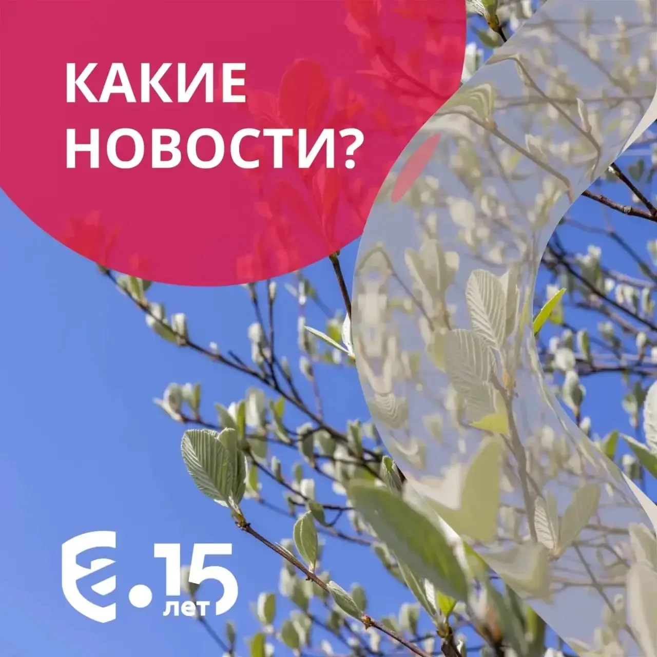 Какие новости Число индивидуальных предпринимателей приблизилось к 5 миллионам По сравнению с апрелем прошлого года рост составил около 7 Президент поручил совершенствовать систему маркировки Честный знак Сегодня система маркировки охватывает 51 товарную группу от лекарств молочной продукции и детских товаров до бытовой химии и продукции легкой промышленности Минэкономразвития РФ станет оператором реестра маркетплейсов Ведомство сформирует и займется ведением реестра посреднических цифровых платформ в который войдут агрегаторы и маркетплейсы Бизнес предложил ввести единые критерии для торговых центров По оценкам отрасли в стране работает около 2 тыс профессиональных торговых центров и еще примерно 6 5 тыс объектов которые юридически считаются торговыми центрами но по факту часто ближе к рынкам или смешанным торговым площадкам Подписывайтесь на наш канал в Max