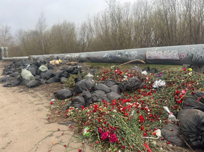 Георгиевские ленты на свалке: депутат Архгордумы от ЛДПР возмущена Жители Архангельска обратились за помощью к депутату городской Думы от ЛДПР Марии Харченко, сообщив о вопиющем случае: цветы и георгиевские ленты, принесенные к мемориалам в День Победы, оказались выброшены на крупной несанкционированной свалке рядом с проспектом Обводный канал. Местные жители обнаружили среди покрышек, строительного мусора и бытовых отходов увядшие букеты и символы воинской славы. — Мы приходим с детьми к памятникам, чтобы рассказать о подвиге предков, а потом видим, как эти символы памяти валяются в грязи. Это неуважение — это цинизм! — возмутилась одна из обратившихся гражданок. Мария Харченко незамедлительно выехала на место. — Здесь не только экологическая катастрофа — это двойное преступление: во-первых, экологическое — несанкционированная свалка в городе, а, во-вторых, нравственное. Георгиевская лента защищена законом, а ее циничное выбрасывание — осквернение памяти павших, — подчеркнула парламентарий, ссылаясь на федеральный закон 2022 года, предусматривающий серьезное наказание за неуважение к символам воинской славы. По данным очевидцев, цветы и ленты могли быть вывезены коммунальными службами с мемориалов — в соцсетях уже распространяется видео, где сотрудники МУПов грузят букеты в грузовики. — Нужно привлечь к ответственности не только исполнителей, но и руководителей, допустивших вандализм. ЛДПР неоднократно била тревогу о проблемах с утилизацией мусора и сохранением исторической памяти — пора действовать! — заявила Мария Харченко. ЛДПР поддерживает требование граждан организовать тщательное расследование инцидента, а также провести разъяснительную работу о значимости Георгиевской ленты и ужесточить контроль за содержанием мемориалов. — Только реальные меры, а не показуха вернут уважение к подвигу наших героев, — резюмировала депутат, пообещав лично контролировать расследование. Фото ЛДПР