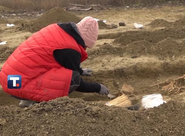 В Нови-Саде обнаружили древнее кладбище  В новисадском районе Клиса сербские археологи обнаружили кладбище, датирующееся первой половиной XI века. По мнению учёных, эта находка является одним из крупнейших открытий в стране и позволяет узнать больше о людях, живших в древности на территории Воеводины.  По словам руководителя археологических исследований Любиши Василевича, на месте раскопок находятся два горизонтальных слоя из двух разных эпох.  «Древний слой, вероятнее всего, относится к бронзовому веку второго или третьего тысячелетия до нашей эры. Это бесспорно. Тут есть ирригационные рвы, печи и ямы», – сообщил Василевич.