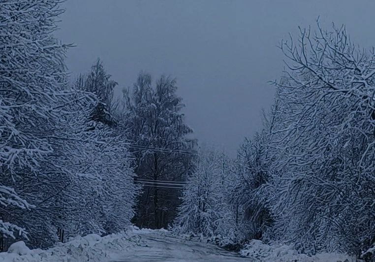 Череповецкий округ частично остался без света Электричества нет в Яргомжском Уломском Тоншаловском и Ягановском Причина налипание мокрого снега и образование льда на проводах при температуре около 0 C Всего за час они покрываются льдом сообщил глава округа Сообщить об отключениях электроэнергии и замеченных повреждениях энергообъектов можно по единому круглосуточному телефону 8 800 220 0 220