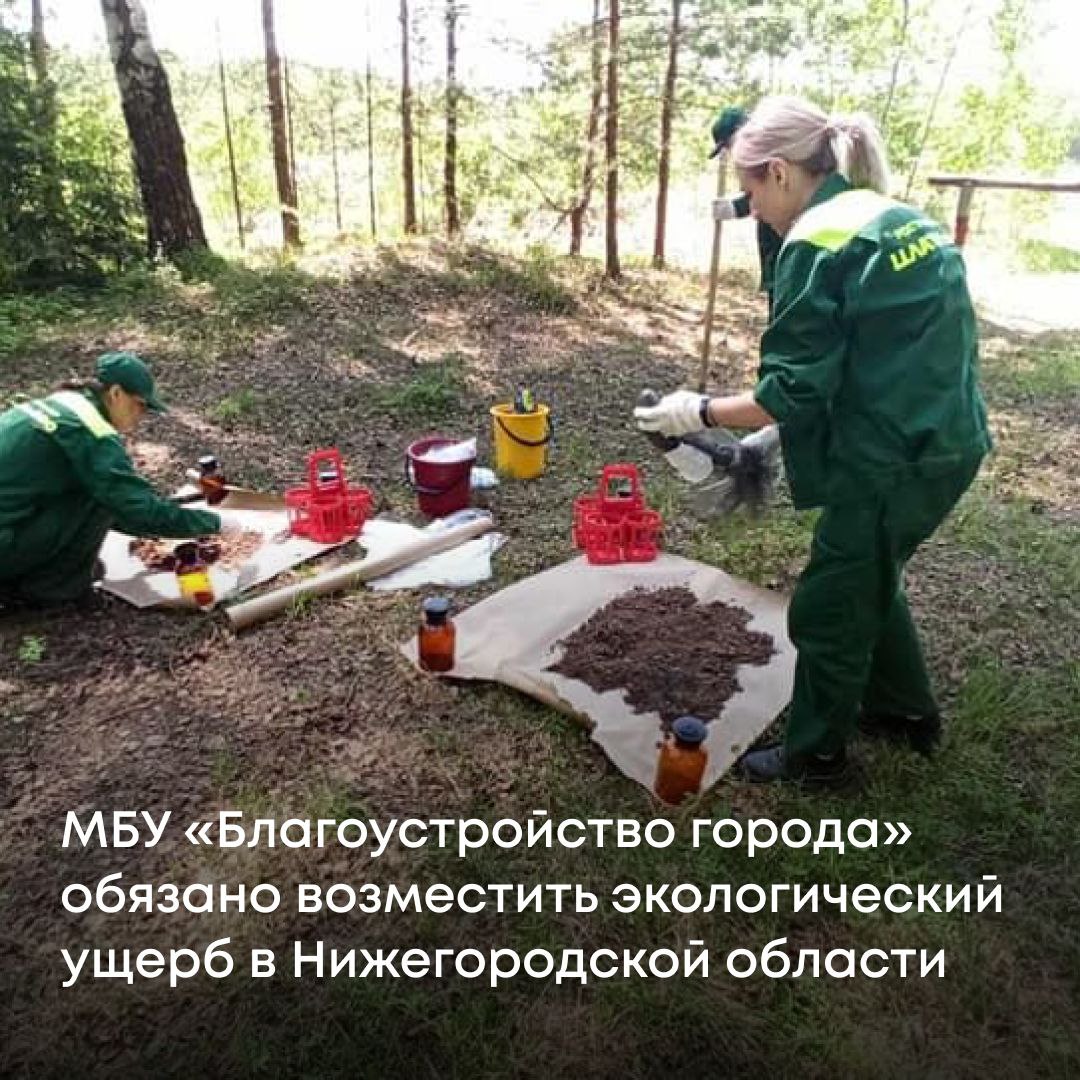 Арбитражный суд Нижегородской области обязал МБУ «Благоустройство города» выплатить более 4,1 млн рублей за ущерб, причиненный почвам в районе деревни Медведево в Нижегородской области. Нарушения были выявлены в 2022 году в ходе плановой проверки полигона ТБО. Инспекторы Росприроднадзора зафиксировали факты негативного воздействия на окружающую среду. В рамках административного расследования юридическое и должностные лица были привлечены к ответственности. Анализ проб почвы подтвердил загрязнение прилегающих участков. Росприроднадзор рассчитал размер ущерба и добился компенсации в судебном порядке.