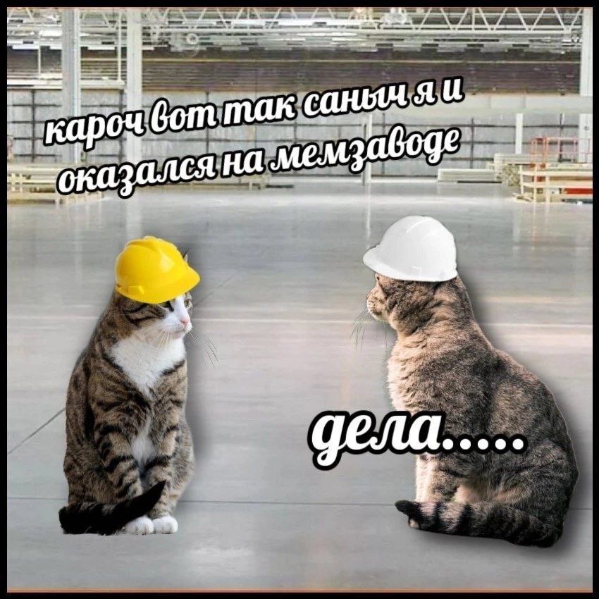 До 2030 года Россия собирается увеличить уровень технологической независимости по продуктам биоэкономики до 40 Объем производства продукции биоэкономики планируется увеличить на 96 а долю отечественных биотехнологических продуктов в структуре потребления до 55 Также возрастет количество предприятий занимающихся подготовкой профессиональной переподготовкой и повышением квалификации кадров по направлению биоэкономики В этой работе должно участвовать 100 отраслевых компаний первый вице премьер России Денис Мантуров о нацпроекте Биоэкономика