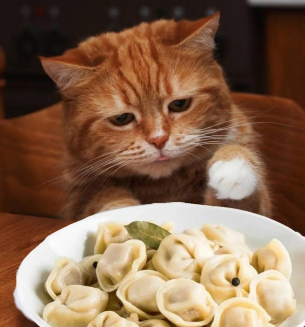 18 февраля в России отмечается праздник посвящённый одному из самых любимых в нашей стране блюд День пельменей