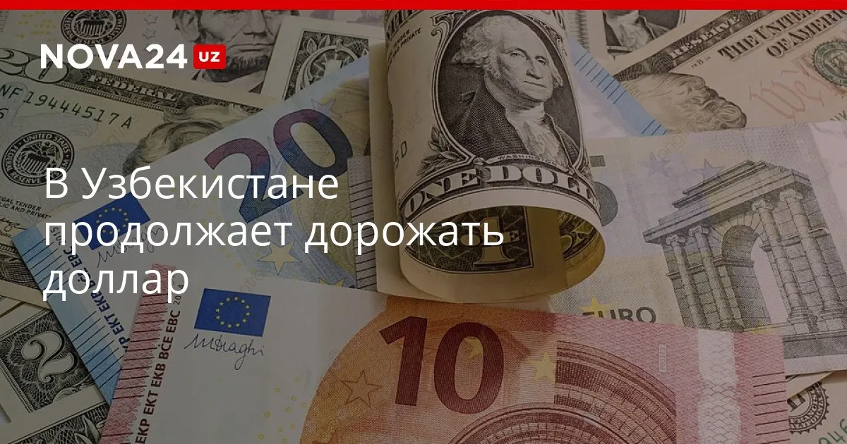 В Узбекистане продолжает дорожать доллар ЦБ обновил котировки nova24 uz 326080 YouTube Instagram Telegram