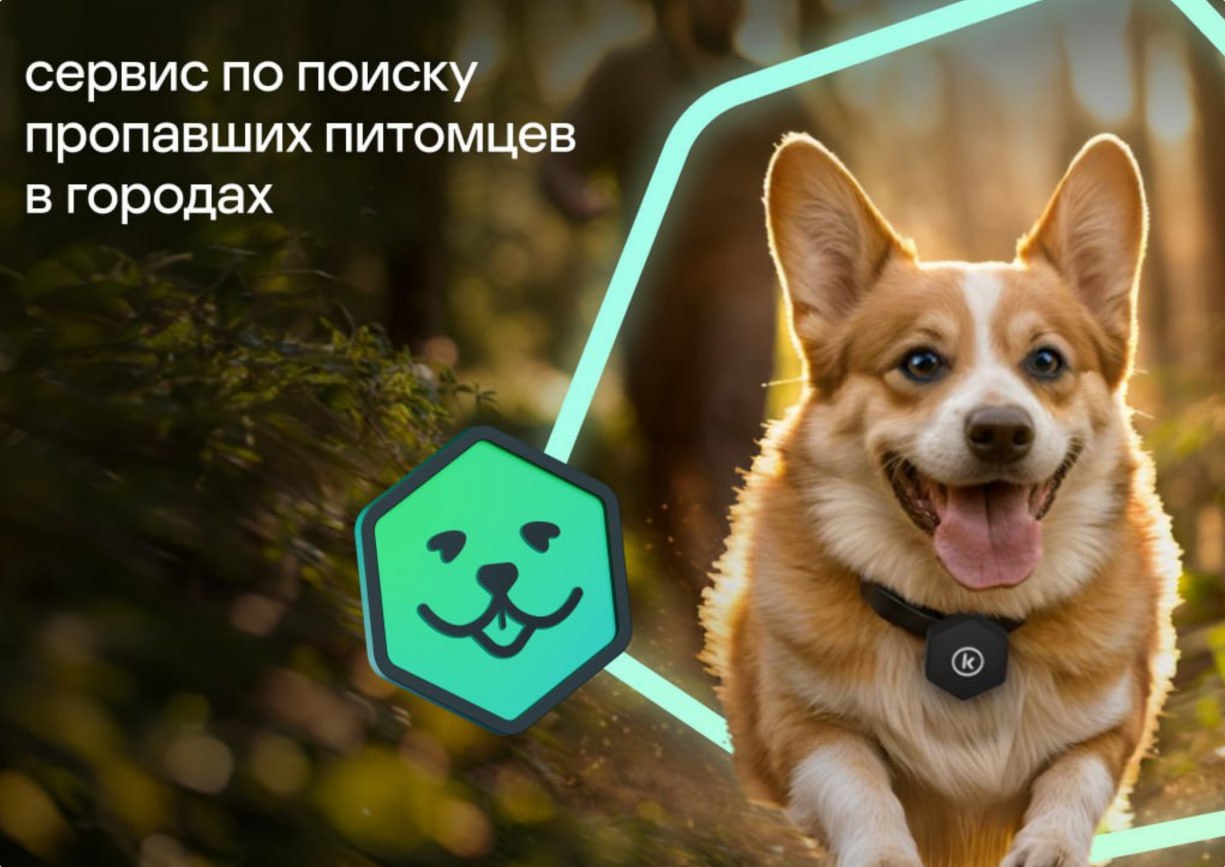 Лаборатория Касперского запустила новое решение PetKa для поиска потерявшихся питомцев Как сообщает ЛК в пресс релизе компания выпустила в России решение для поиска потерявшихся в городе питомцев Оно состоит из Kaspersky Tag физической Bluetooth метки и PetKa бесплатного приложения для Android с которым работает Kaspersky Tag Пользователи PetKa также могут стать участниками Команды Героев созданной компанией и помогать другим владельцам находить своих любимцев По оценкам внутреннего исследовательского центра компании его объём в России и странах СНГ в 2024 году составил порядка 8 7 млрд рублей PetKa На онлайн карте в приложении разработанном Лабораторией Касперского пользователь может следить за передвижением своего питомца а также узнать его последнее местоположение В PetKa есть профиль домашнего любимца можно добавить его кличку фотографии особые приметы название породы и данные из ветеринарного паспорта а также контакты владельца Приложение для Android доступно в RuStore и на сайте Лаборатории Касперского Kaspersky Tag Bluetooth метка крепится к ошейнику собаки или кошки с помощью силиконового чехла или металлического кольца которые входят в комплектацию Владелец может искать питомца по силе сигнала от трекера Kaspersky Tag благодаря функции Найти рядом в приложении PetKa если домашний любимец недалеко На метку также можно отправить звуковой сигнал чтобы услышать где находится питомец Kaspersky Tag обладает степенью защиты от воды IPX5 и может работать под дождём или снегом Трекер доступен для покупки у официального дистрибьютора Мэдроботс и на популярных маркетплейсах Отличная новость Уже даже есть первый шумный и активный кандидат для таких экспериментов Russian OSINT