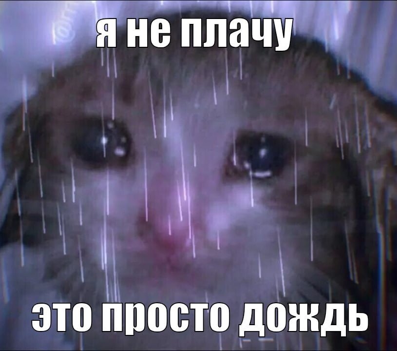 Жители Солнечного не могут добраться до дома по вечерам Омичка обратилась к губернатору с жалобой на транспортный коллапс в направлении поселка Солнечный По ее словам после рабочего дня попасть туда с Красного Пути почти нереально Недавно введенный автобус 77 на который возлагали надежды почти исчез А единственная альтернатива маршрут 109 ходит так редко что пассажиры вынуждены ждать его по часу Ситуация становится еще хуже в дни хоккейных матчей В ответ на просьбу жительницы принять меры в мэрии дали четкий но неутешительный ответ Увы но дополнительных автобусов не будет Весь муниципальный подвижной состав распределен по действующим маршрутам В дни проведения хоккейных матчей организована доставка и развоз зрителей специальными автобусами шаттлами сообщили в городской администрации Ставь если знакома эта проблема Написать в редакцию можно здесь gorod55ru