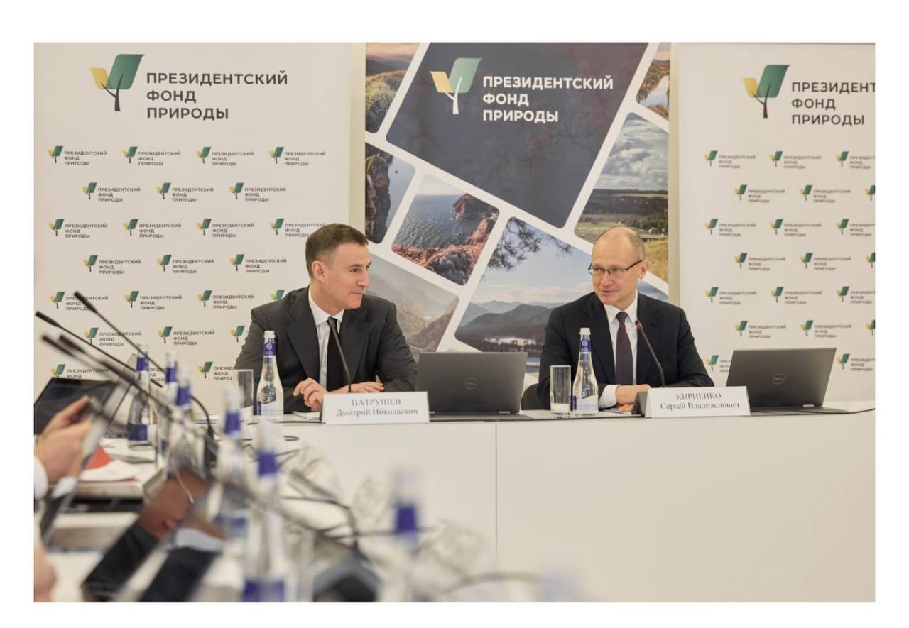 Наука заповедники и миллиард на спасение природы объявлены победители Президентского фонда природы 11 февраля на площадке фестиваля Первозданная Россия под председательством первого заместителя Руководителя Администрации Президента РФ Сергея Кириенко прошло заседание Координационного комитета по поддержке экологических проектов Главная новость подведены итоги конкурса Президентского фонда природы 2026 года Поддержку получат 157 проектов от экологов учёных биологов и работников заповедного дела Общая сумма грантов составит 1 миллиард рублей из средств Президента Российской Федерации Это важный шаг в сохранении биоразнообразия и развитии природоохранных инициатив по всей стране Поздравляем победителей ПрезидентскийФондПрироды Экология ПервозданнаяРоссия Гранты