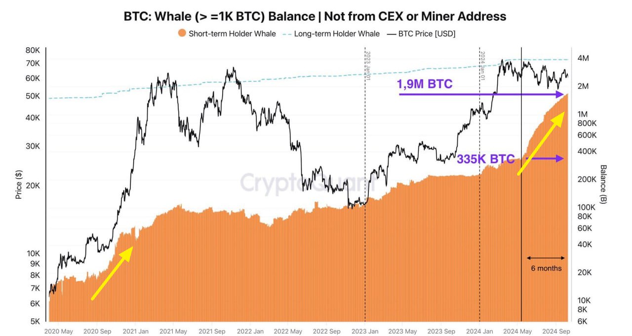 киты с балансами 1000+ BTC  не биржи и не майнеры  резко ускорили покупки BTC с июня 2024г и продолжают активно накапливать. Сопоставимое ускорение наблюдалось в октябре 2020г перед началом туземуна — данные Santiment   Goldman ожидает начало ралли в рисковых активах в конце октября , а пока - может немного потрясти…