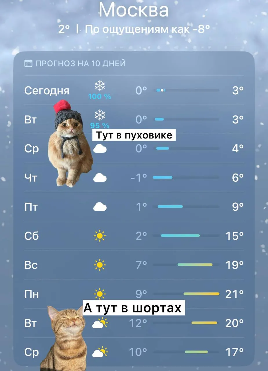 А на следующей неделе в Москве обещают до 21 градуса Подписаться Прислать новость