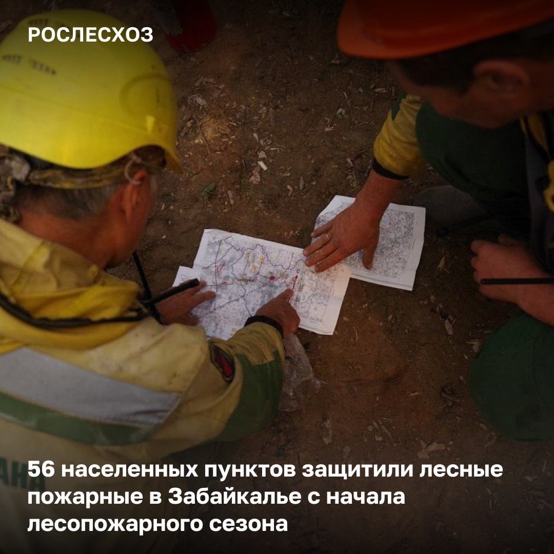 С начала сезона лесные пожарные ликвидировали в Забайкальском крае 450 возгораний на площади более 1 млн га. Площадь пройденная огнём - каменные сопки и другие труднодоступные участки, на которых отсутствует деловой лес, а также не ведется заготовка древесины. И она не равняется площади погибших насаждений. О лесопожарном сезоне-2025 С начала пожароопасного сезона на землях лесного фонда Забайкалья было зарегистрировано 493 лесных пожара на площади 1,7 млн га. «В 2025 году лесопожарная обстановка в Забайкальском крае сложилась достаточно напряженной. Пожароопасный сезон начался раньше обычного, температуры превысили климатическую норму, что способствовало увеличению риска возникновения пожаров. Особую сложность ситуации создаёт сложный рельеф региона, включающий множество труднодоступных территорий. В регионе ежедневно осуществляется мониторинг лесопожарной обстановки в Забайкалье и прилагаются все усилия для её стабилизации. Помощь краю в тушении лесных пожаров оказывают более 1 тыс. работников Федеральной Авиалесоохраны и региональных авиаотделений. Благодаря слаженной работе всех служб в Забайкалье удалось потушить лесные пожары на площади более 1 млн га. В результате были защищены 56 населённых пунктов и объектов экономики, что позволило минимизировать ущерб и сохранить жизни людей», - отметил руководитель Рослесхоза Иван Советников.