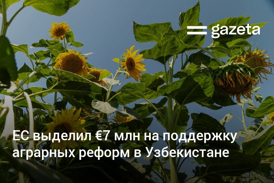 Узбекистан получил грант Евросоюза в 7 млн на продолжение реформ в сельском хозяйстве Грант является частью пакета ЕС на 20 млн евро рассчитанного до 2026 года и ориентированного на устойчивость агросектора страны В перспективе основные вызовы уже не связаны с ценами или квотами а требуют укрепления прав на экономическое землепользование и управления системой пищевой безопасности оба эти аспекта крайне важны для привлечения инвестиций обеспечения устойчивости и повышения конкурентоспособности экспорта особенно в контексте присоединения к ВТО сказал посол ЕС в Узбекистане Тойво Клаар www gazeta uz ru 2025 12 11 eu Telegram Instagram YouTube