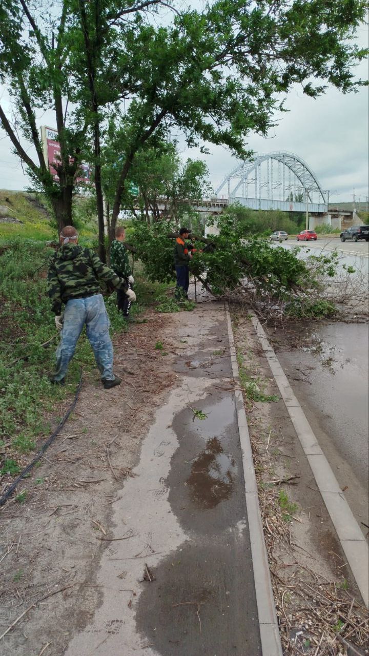 В районах Волгограда коммунальщики с самого утра ликвидируют последствия разгула стихии. Благо, без критичного ущерба. Местами ураган повалил деревья. А вот цирку-шапито, говорят, крупно не повезло...
