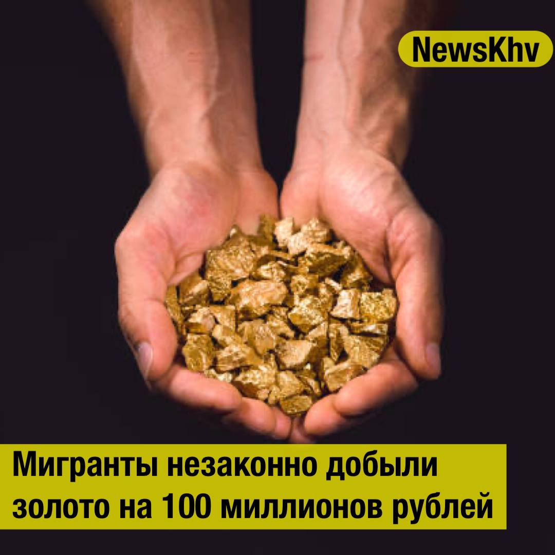 Мигранты незаконно добыли золото на 100 миллионов рублей 27 приезжих пригласили как высококвалифицированных работников в Амурскую область Но у них не было необходимых документов Поэтому полиция задержала всех рабочих забрав несколько слитков и 17 килограммов золота россыпью 19 мигрантов уже депортировали семеро также покинут Россию а вот одного решили арестовать куда бы потом делось золото Источник LENTA подписывайтесь на NewsKhv Прислать новость NewsKhv Official