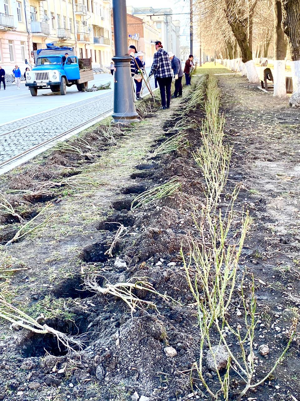 На проспекте Мира вновь высаживают розы. Большую часть тех, что посадили в прошлом году, украли  Об этом Ossetia News сообщили в АМС Владикавказа. В прошлом году в центре города высадили более 1 тысячи саженцев роз, но большую часть кустов украли. Теперь в местах высадки цветов будет вестись видеонаблюдение.  В случае кражи АМС будет обращаться в правоохранительные органы.   «В этом году принято решение высадить розы локально — на проспекте Мира. Всего на отрезке от площади Свободы до ул. Горького будет высажено 2 000 розовых кустов. Завершить посадки планируется до конца недели», — отметили в мэрии.  Фото: тг-канал Михаила Ткаченко