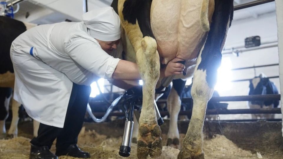 Гоцанюк в Крыму построят два современных молочных комплекса В Крыму планируют построить два современных молочных комплекса каждый из которых рассчитан на 4 тысячи голов Об этом в своем Telegram канале сообщил председатель Совета министров республики Юрий Гоцанюк Инвестпроекты реализуют в Первомайском и Раздольненском районах Две компании планируют построить два современных молочных комплекса Каждый из объектов будет рассчитан на 4 тысячи голов каждый Запуск этих ферм позволит существенно увеличить производство молока в Крыму и сократить дефицит сырья для перерабатывающих предприятий написал Гоцанюк Руководитель регионального правительства добавил что инвесторам необходимо подать заявки на технологическое подключение После этого как пояснил глава Совмина профил Подробнее