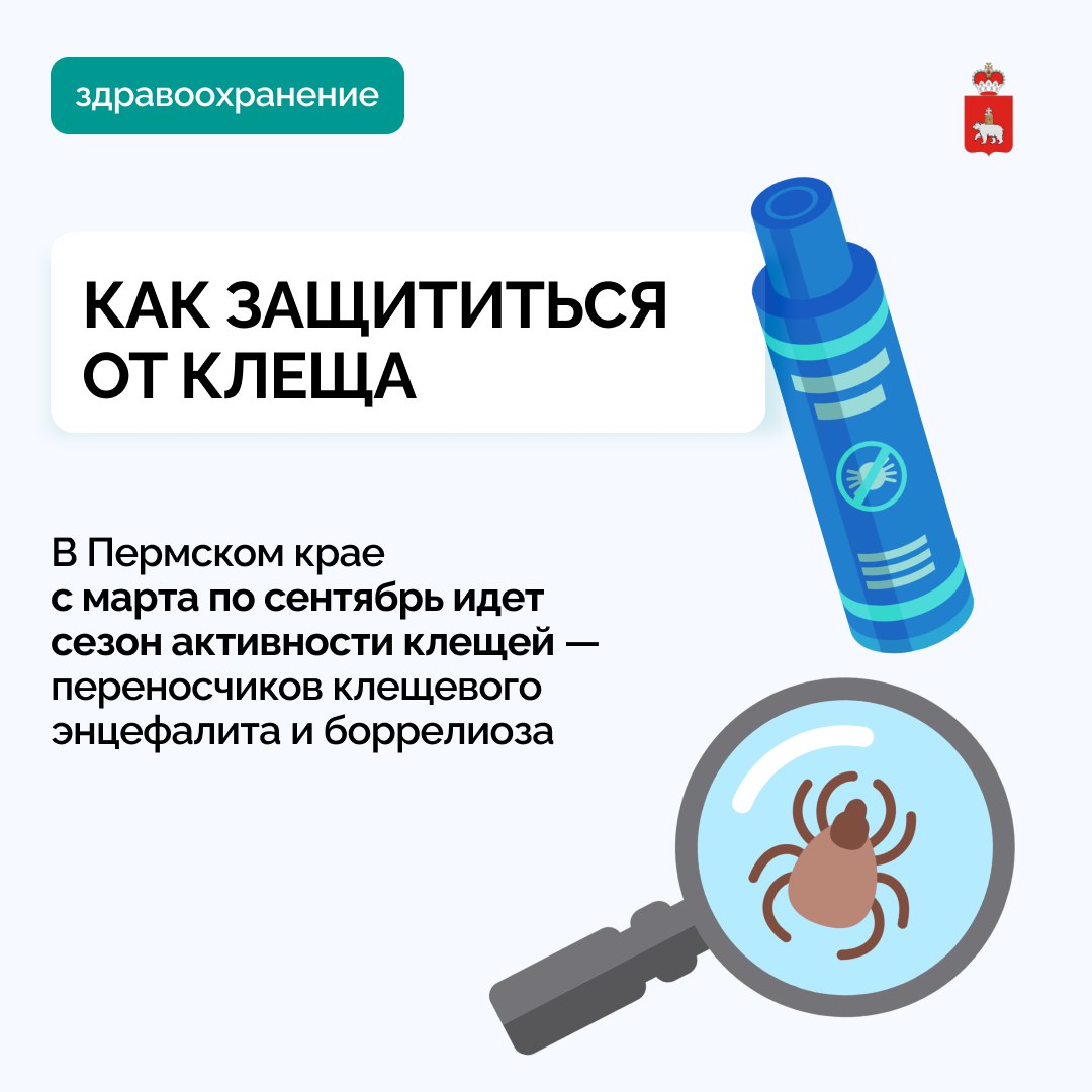 Более 16,3 тысяч жителей Пермского края обратились за медицинской помощью после укуса клещей Как сообщили в Управлении Роспотребнадзора по Пермскому краю, с начала сезона в медицинские организации Прикамья по поводу присасывания клещей обратились 16 328 граждан, среди них 3 126 — дети. По результатам лабораторных исследований клещей, снятых за 24 неделю, 48,4% клещей инфицированы иксодовым клещевым боррелиозом ИКБ , 4,2% - моноцитарным эрлихиозом человека МЭЧ , 1,1 % - клещевым вирусным энцефалитом КВЭ и 1 % - гранулоцитарным анаплазмозом. Снизить риски заражения инфекциями, передающимися человеку от клеща, помогут следующие меры: — проведение акарицидных и дератизационных обработок территорий; — ношение защитной одежды; — использование репеллентов в соответствии с инструкцией производителя; — самоосмотры после посещения мест с высокой травой и кустарниками. Обезопасить себя можно с помощью своевременного прохождения курса иммунизации. Вакцина от клещевого вирусного энцефалита КВЭ в достаточном количестве доступна во всех медицинских учреждениях Пермского края. Для прохождения вакцинации необходимо обратиться в поликлинику по месту жительства или записаться по телефону. Подробнее о порядке действий при укусе, адресах медицинских учреждений и мерах предупреждения — в информационных карточках.