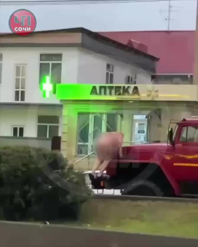Сильные дожди в Сочи: река Херота вышла из берегов, пляжи временно закрыты