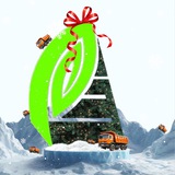 Содержание Городских Территорий | Владивосток