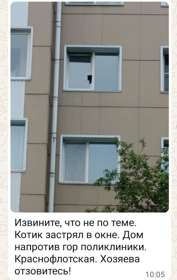 Застрявший в окне черный кот стал причиной спасательной операции в Корсакове Бедолагу в смертельной ловушке по улице Краснофлотской, 10 заметили местные жители. Они и обратились в МЧС. Добросердечные пожарные оперативно выехали на место, однако из-за припаркованных машин во дворе были проблемы с постановкой спецтехники. В конце-концов выдвинутая лестница достала до четвертого этажа, где висел котик. Жертва оконного режима проветривания оказалась с брутальным характером и пыталась сопротивляться спасателю. Но человек был упорнее и освободил пушистого, затолкав его назад в квартиру. По статистике достаточно всего одного часа, чтобы животное, попавшее в такую ситуацию, погибло. Даже если вынуть его живым, могут быть проблемы с передавливанием внутренних органов, позвоночником и лапами, которые позже приведут к инвалидности или смерти. Берегите своих питомцев! соцсети ——— : Прислать нам новость: