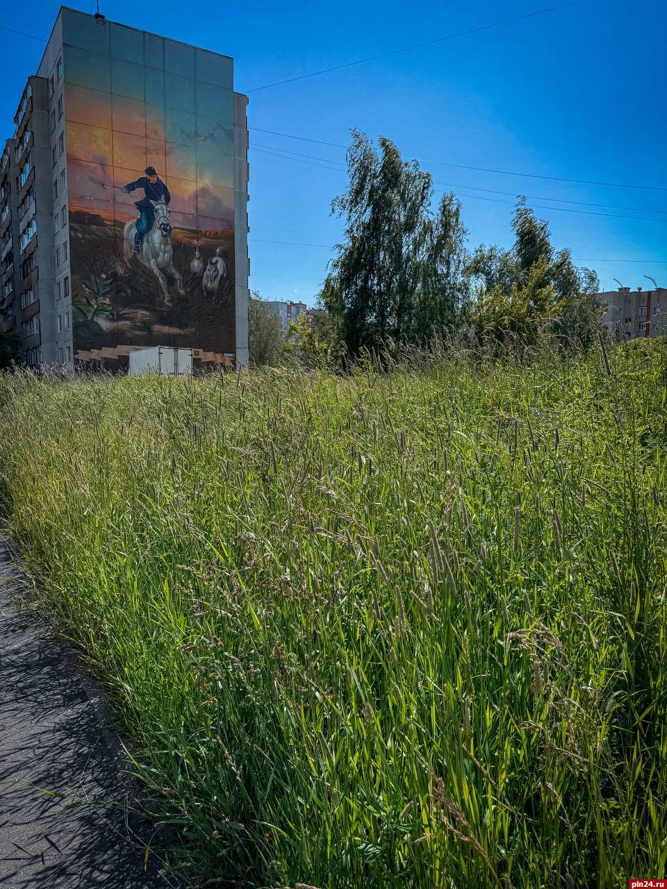 Интерактив: Псковские джунгли  «Недавно в Псков приезжали мои друзья, сами из Пскова разъехались по разным городам  один в Петербурге, второй в Москве . Живут там и работают. В город приезжают в отпуск и повидать родителей. Всегда с удовольствием гуляют по городу.  Но в этот раз были шокированы тем, во что превратили город! Ремонты и работы по благоустройству - это ничего страшного, так происходит везде. Но вот что касается «убранства» города, это просто ужас. На носу празднование Дня города, идет эногастрономический фестиваль, на который приезжает куча народа. Но пока до него дойдешь, можно играть в прятки. Для этого достаточно просто сойти с дорожки. А борщевик рядом со зданием администрации региона и города - это вообще ни в какие ворота.  Неужели нельзя предпринять какие-то экстренные меры? Такими темпами весь город зарастет бурьяном и борщевиком. Будем в химзащите по джунглям передвигаться»  Напомним, ранее глава города Пскова прокомментировал ситуацию  вокруг отсутствия покоса травы.  По его словам, у генподрядчика, который несет ответственность за содержание парков в центре города, возникли разногласия с субподрядчиком, который в свою очередь выполняет покос травы. Длительное время между ними муссируется личный конфликт, в результате чего субподрядчик приостановил работу, и парки Пскова стали стремительно заполняться растительностью.   А со стороны можно подумать, что лихой казак скачет по полю с единственной целью — покосить шашкой до неприличия разросшуюся траву.