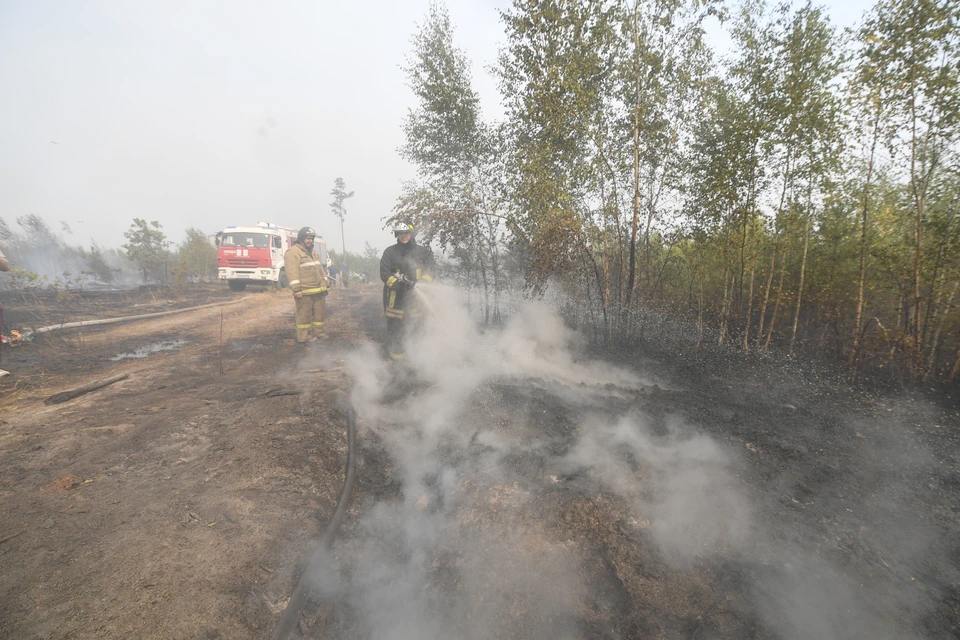 В ЛНР на землях лесного фонда введен пожароопасный сезон В Луганской Народной Республике официально стартовал пожароопасный период на землях, находящихся в лесном фонде. В связи с установившейся теплой, без осадков погодой, Министерством природных ресурсов и экологии ЛНР приказом объявлено о начале пожароопасного сезона на лесных территориях республики. Министерство напоминает всем жителям и гостям республики о необходимости соблюдения Правил пожарной безопасности в лесах. Данные правила действуют до наступления стабильной дождливой погоды или образования нового снежного покрова. Запрещено разводить открытый огонь в хвойных лесах, на участках, пострадавших от пожаров, на поврежденных лесных территориях, а также на участках с сухой травой и под кронами деревьев. В других местах использование открытого огня разрешено только на площадках, окруженных противопожарными полосами.