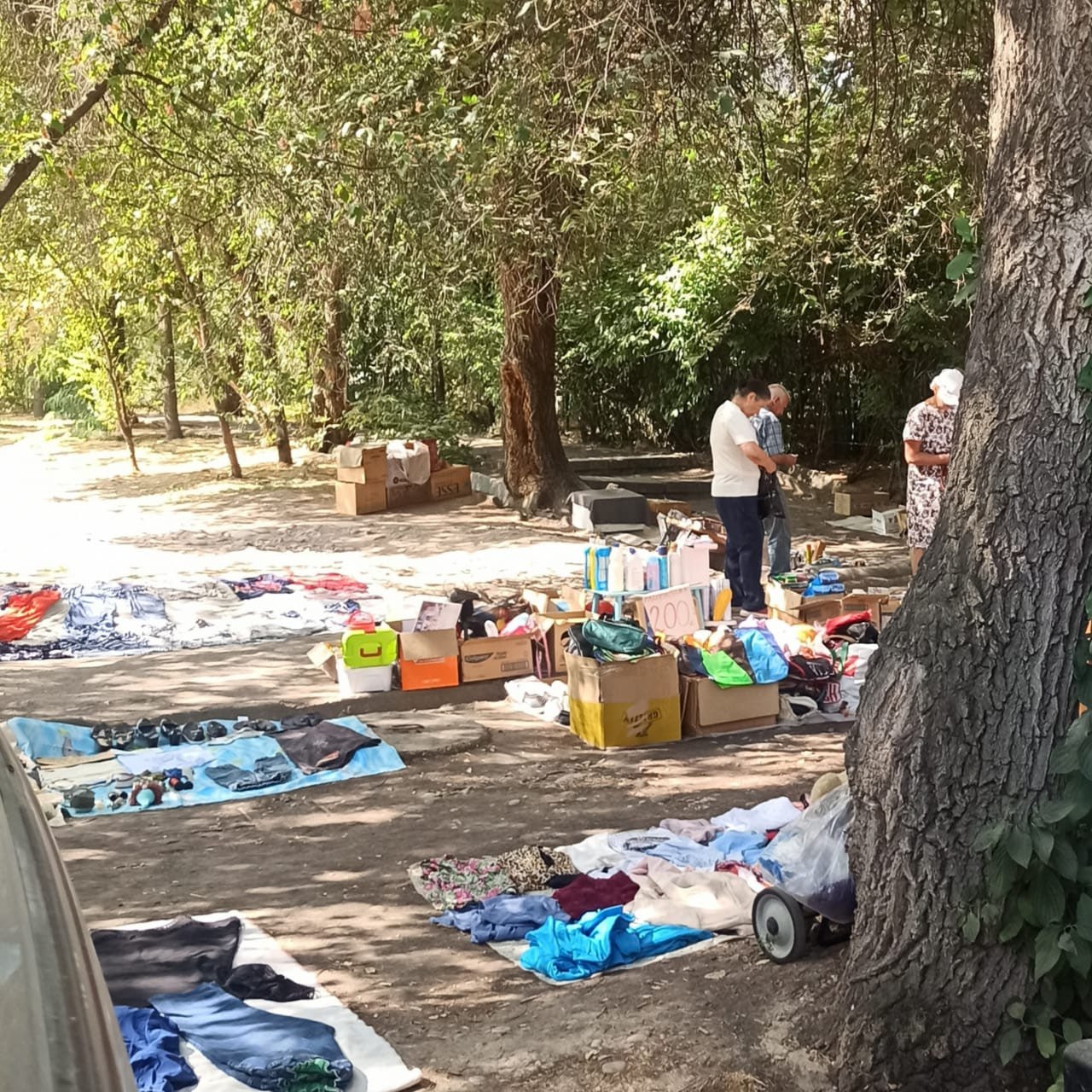 Жители 7-го микрорайона в Бишкеке жалуются на стихийную торговлю По их словам, власти обещали закрыть стихийную торговлю, но люди до сих пор выходят на дорогу со своими товарами. «Дорога — это не место для рынка! По выходным невозможно нормально ни выехать, ни домой вернуться, постоянно заторы. Торговцы ведут себя агрессивно, могут матом ответить, если просишь отодвинуться, чтобы проехать. Могут по капоту машины ударить. Пишут на машинах, чтобы мы возле бордюров на ночь не ставили. А мы здесь живем! Это наши дома, мы паркуемся рядом», — сообщили жители. Вы можете сообщить новость, отправив ее в WhatsApp по номеру 0555312024.
