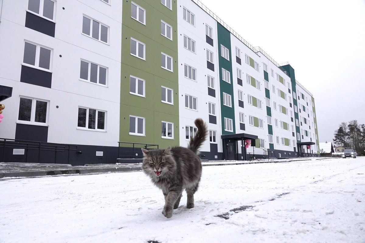 Как и обещал начинаем строить дом для расселения аварийного жилья в Суоярви На следующей неделе компания КСМ которая выиграла конкурс заходит на строительную площадку Дом будет 5 этажным на 150 квартир рядом с двумя другими домами возведенными на улицах Первомайской и Октябрьской в рамках прошлой программы Строительство новых домов в этом районе позволило улучшить коммунальную инфраструктуру Реконструированы сети теплоснабжения водопровода и канализации Завершается строительство новой котельной Таким образом это будет четвертый дом который мы строим в этом году для расселения в Беломорске 135 кв дом уже подключен к коммуникациям в Петрозаводске идет строительство 9 этажного дома на 251 кв в Питкяранте подрядчик приступил к строительству 40 кв дома Эти новостройки вместе с 48 кв домом в Лахденпохье планируем ввести в эксплуатацию и заселить до конца 2026 года В них из аварийного жилья переедут более 620 семей Напомню программу переселения граждан из аварийного жилья ведём в рамках нацпроекта Инфраструктура для жизни НашаКарелия Нацпроект