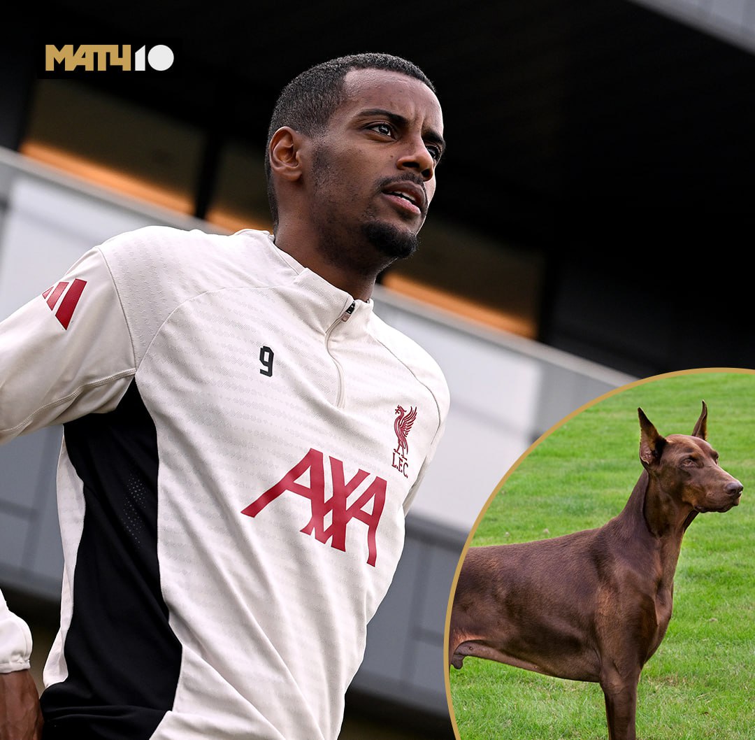 Исак купил добермана для защиты от хейтеров Потратил на него 30 тыс Александер так себе начал в Ливерпуле В сборной Швеции дела не лучше фанаты угрожают футболистам смертью Форварду нужно чувство безопасности и спокойствия Вот и завел собаку пишет The Sun Лишний тренер тоже не помешал бы Забивать то надо Match TV