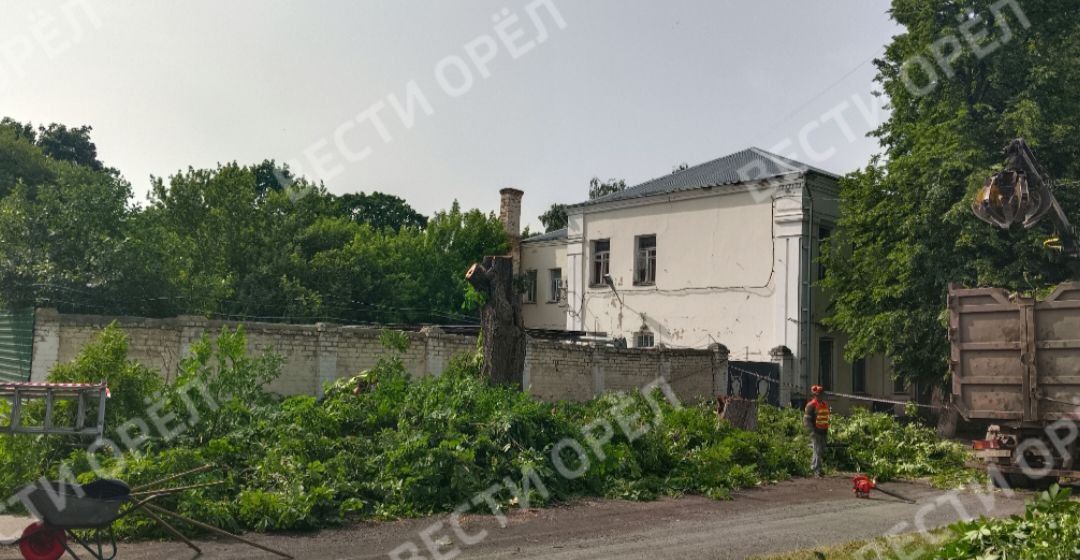 Фотофакт: на Горького в Орле началась вырубка деревьев Ранее стало известно, что в рамках ремонта на Горького планируется вырубить 48 деревьев. Орловцев ситуация возмутила в комментариях к новостям СМИ и в соцсетях горожане стали выступать против сноса растений, несмотря на то, что власти заверили: на месте старых деревьев высадят молодняк. Поручение проверить необходимость таких работ дал глава горсовета Василий Новиков Редакция сайта "Вести-Орел" следит за развитием ситуации Вести-Орел. Подписаться