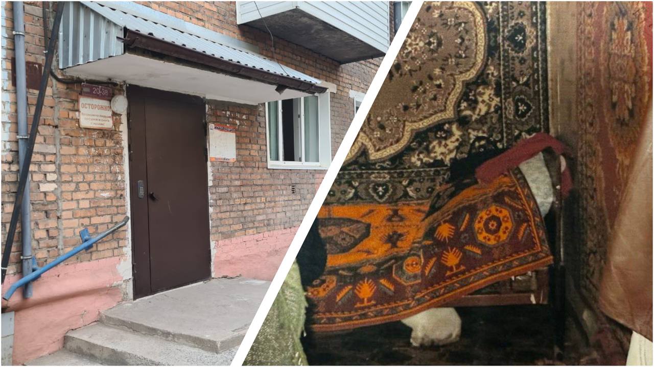 «К смерти отношения не имею»: перед судом предстанет житель Ачинска за причинение тяжкого вреда здоровью, повлекшее смерть его знакомого 20 лет назад Весной 2005 г. в Ачинске произошла, казалось бы, обычная бытовая ссора. Женщина пожаловалась своему знакомому на сожителя, который не помогал ей по хозяйству. Разговор стал роковым — на то время 43-летний мужчина, движимый личной неприязнью, отправился «разбираться» с обидчиком подруги. Придя в квартиру неприятеля, агрессор нанес ему несколько жестоких ударов: два раза пнул ногой в живот и дважды ударил собачьим поводком по спине. Пострадавший, чувствуя недомогание, не обратился за медицинской помощью, а спустя несколько дней скончался. На протяжении 20 лет преступление оставалось нераскрытым. Обвиняемый, хоть и признавал факт драки, но утверждал, что нанесённые удары к смерти привести не могли. Экспертизы давали противоречивые результаты — даже эксгумация тела в 2006 г. не прояснила картину. Однако в рамках работы по расследованию преступлений прошлых лет при координирующей роли прокуратуры были повторно изучены материалы уголовного дела, назначена дополнительная комиссионная судебно-медицинская экспертиза. Вновь проведённая экспертиза показала, что удары в живот вызвали разрыв внутреннего органа, что привело к кровотечению и стало причиной смерти. Прокуратура утвердила мужчине обвинение в причинении тяжкого вреда здоровью, повлекшего смерть ч. 4 ст. 111 УК РФ . Ему грозит до 15 лет лишения свободы. Сайт Тelegram ВК